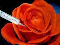 41595_128209533855987_8791_n