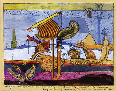 maxernsticelandicmoss