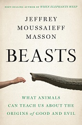 masson b