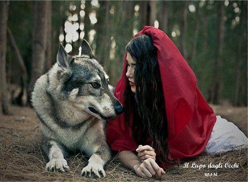 545491_465991136762505_997126911_n