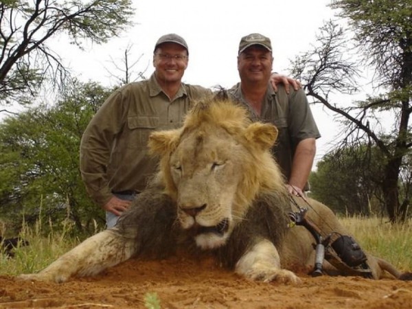 n_bb5fb11911447efda0f1159896825c09