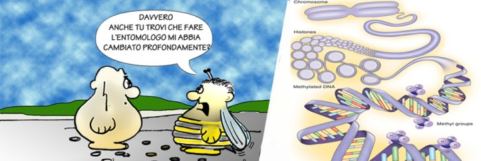 Blocco_Epigenetica1.jpg