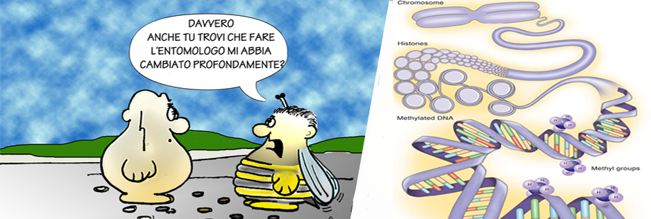 Blocco_Epigenetica1.jpg